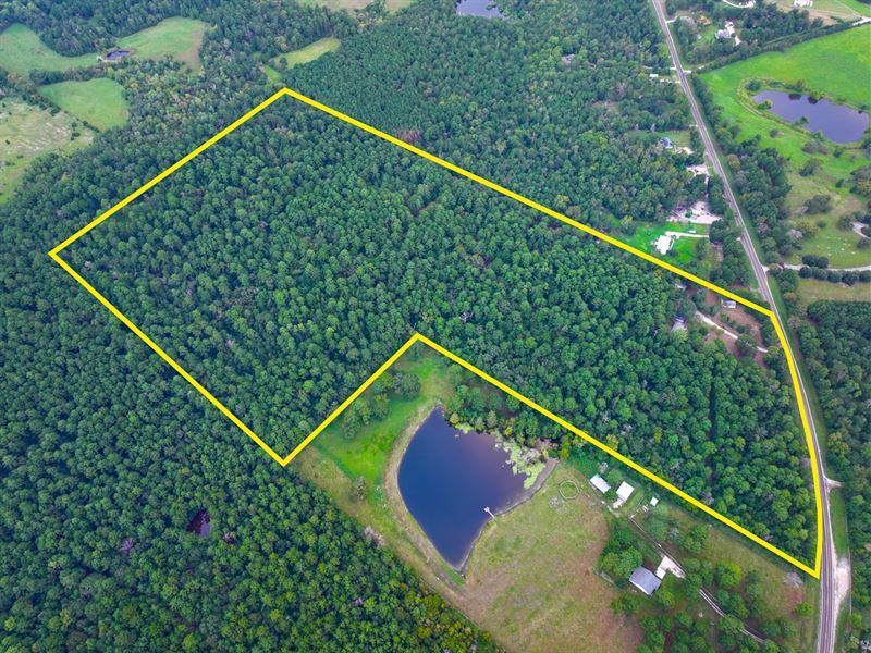 52 Acres 4955 FM 1374 : Huntsville : Walker County : Texas