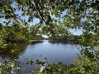 81.66 Acres in Montgomery, Texas : Montgomery : Texas