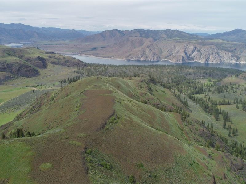 Spiegel Canyon : Wilbur : Lincoln County : Washington