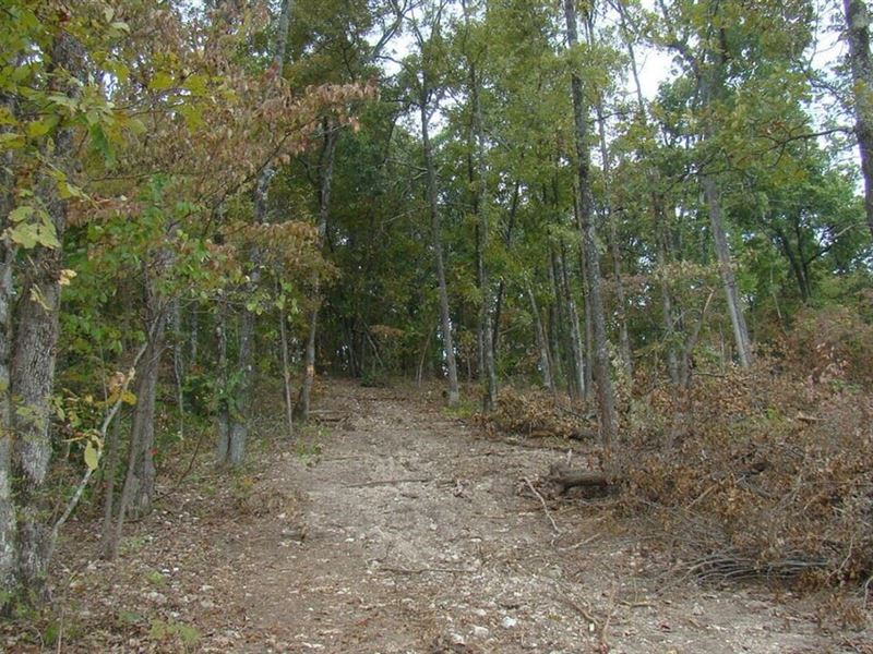 80 Acres, Prime Hunting, Small Cave : Ava : Douglas County : Missouri