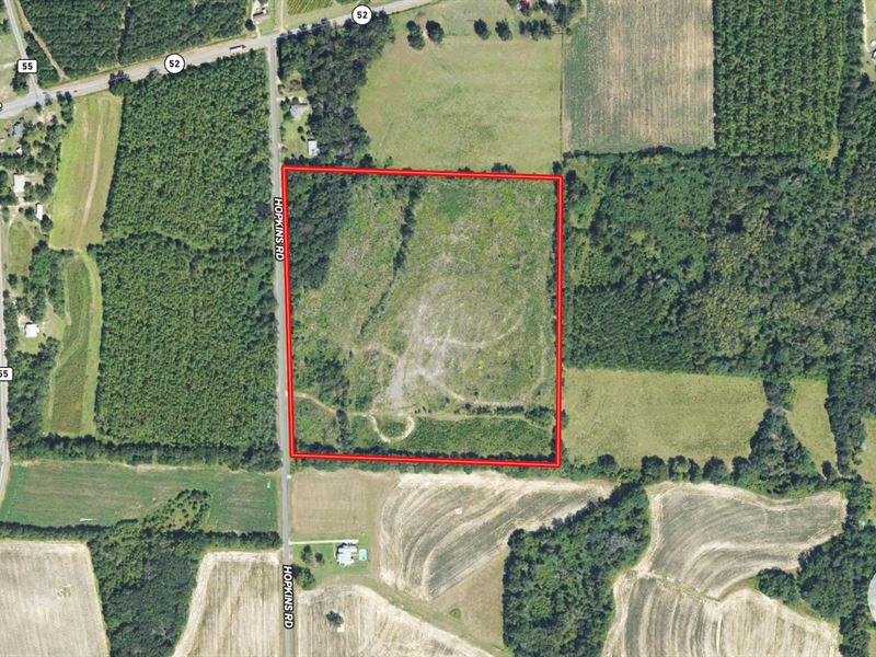 37+/- Acres AG Land / Homesite : Webb : Houston County : Alabama