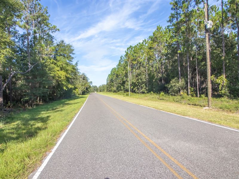 21.4 AC of Serene Country A-721 : Hawthorne : Putnam County : Florida