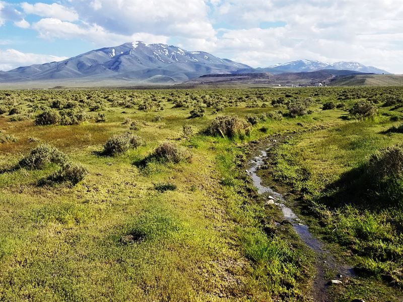 41.15 Acre in Humboldt County, NV : Battle Mountain : Humboldt County : Nevada