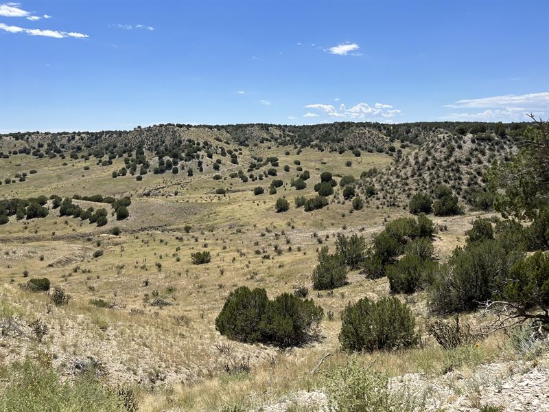 360 at Hatchet Ranch : Pueblo : Pueblo County : Colorado