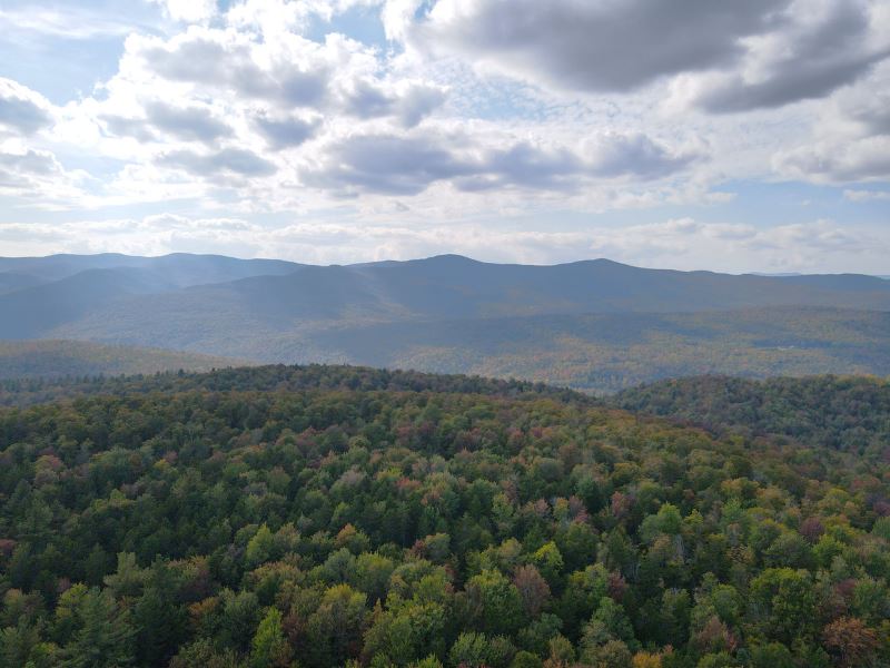 Cram Hill Forest : Roxbury : Washington County : Vermont