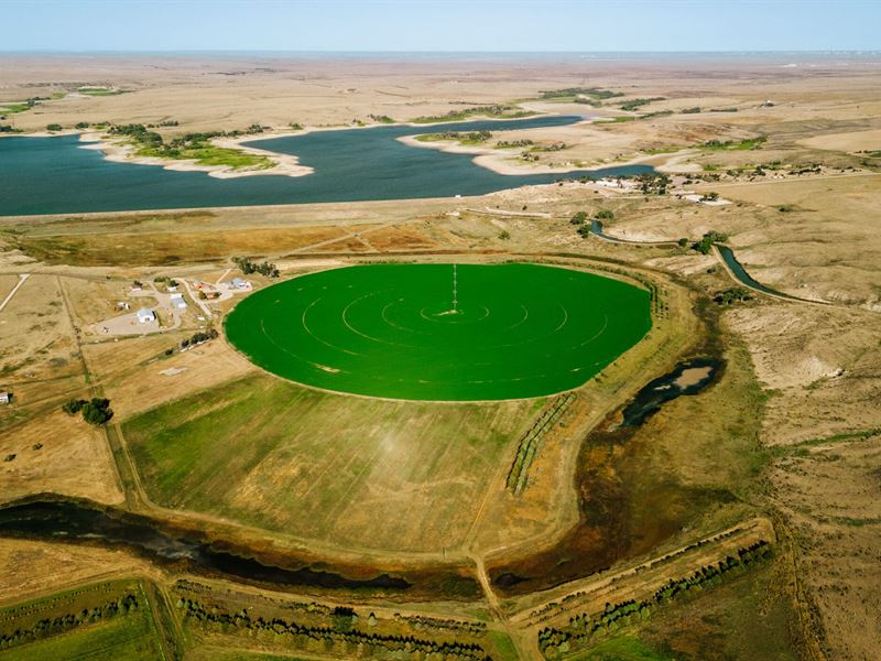 Cedar Creek Farm : Sterling : Logan County : Colorado