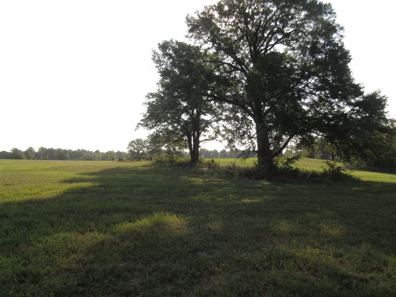 Prime Building Spot & Recreational : Sawyer : Choctaw County : Oklahoma