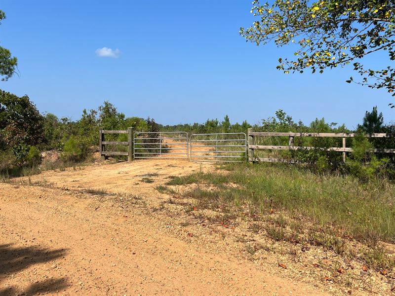 120 Acres Fayette County, AL : Fayette : Fayette County : Alabama