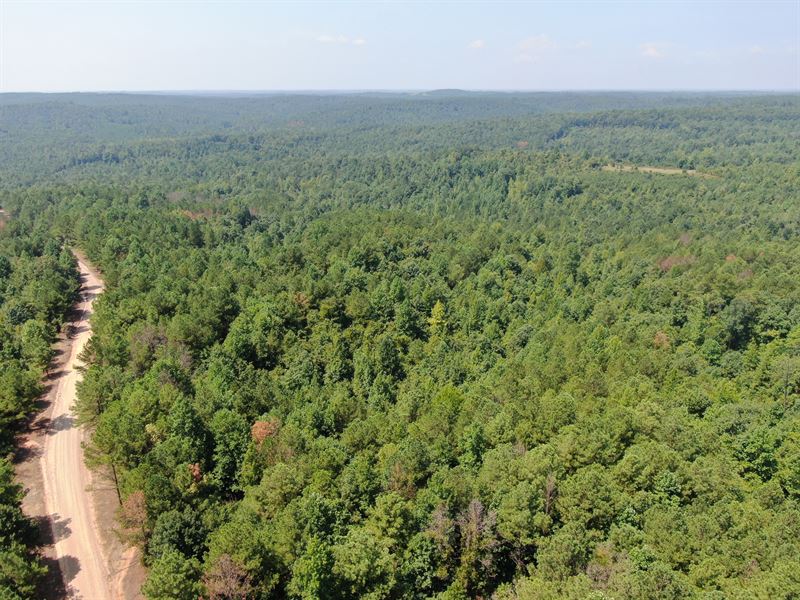 32.5 Acres in Tuscaloosa County : Moores Bridge : Tuscaloosa County : Alabama