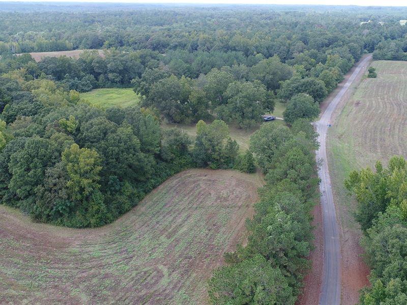 135 Ac Butler Co. Farmstead Rd : Greenville : Butler County : Alabama