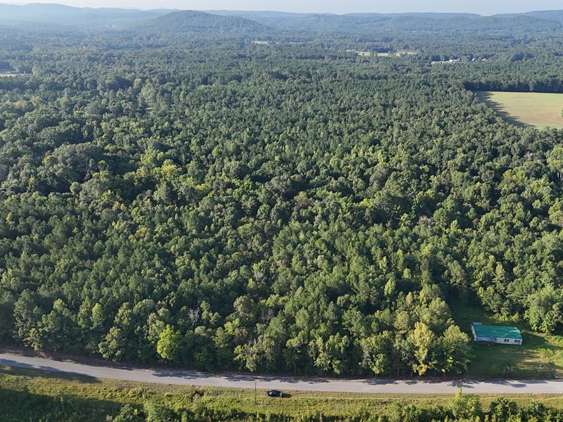 Beaird Road Tract / Ball Play, AL : Gadsden : Etowah County : Alabama