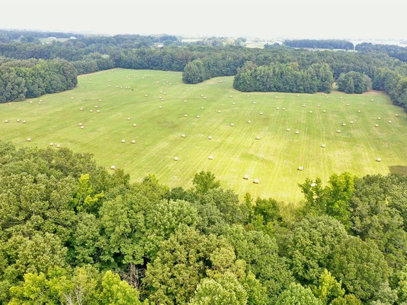 70 Acre Farm Lawrence County : Hillsboro : Lawrence County : Alabama