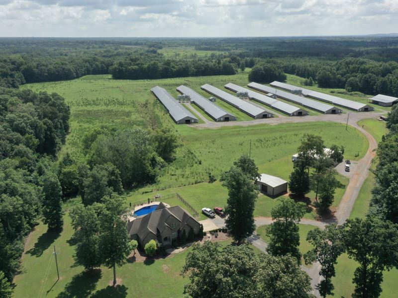 New Price, Rock Creek Broiler Farm : Town Creek : Lawrence County : Alabama