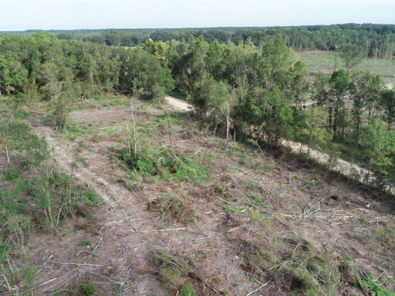 22 Ac Mini Farm Homesite Near Bonif : Bonifay : Washington County : Florida