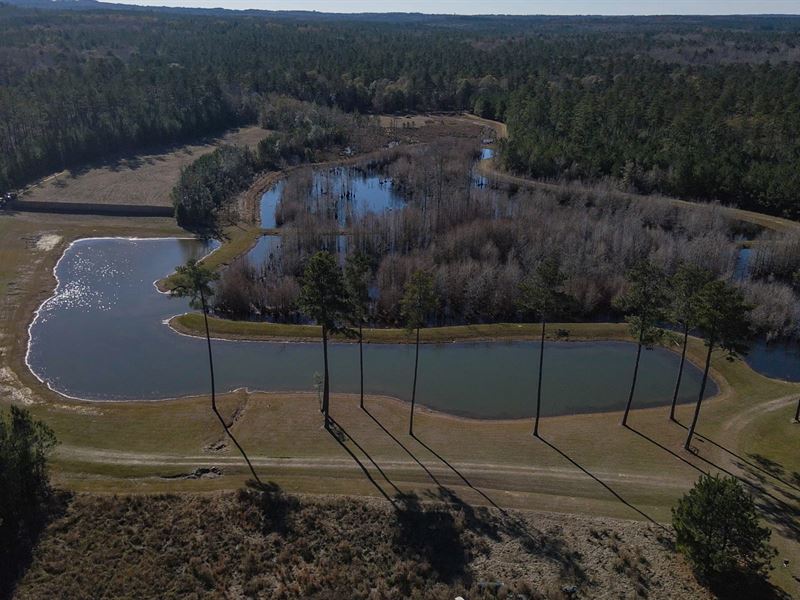 770 Acres with Lodge : Glenwood : Crenshaw County : Alabama