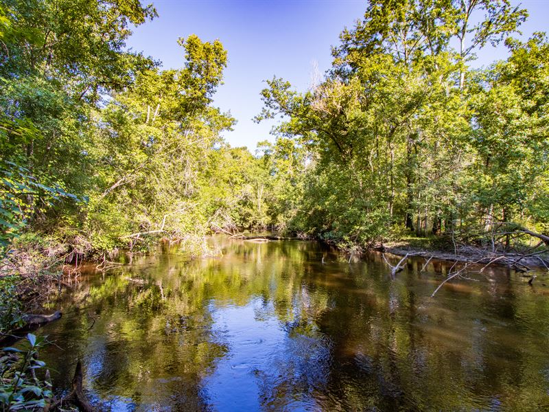 85 Ac Telogia Creek Frontage Libert : Telogia : Liberty County : Florida