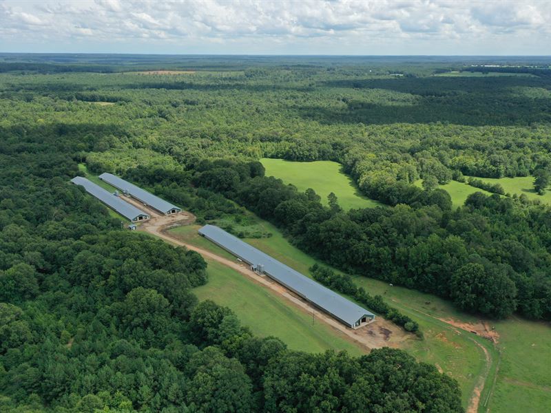 Nimmons Broiler Farm : Lexington : Oglethorpe County : Georgia