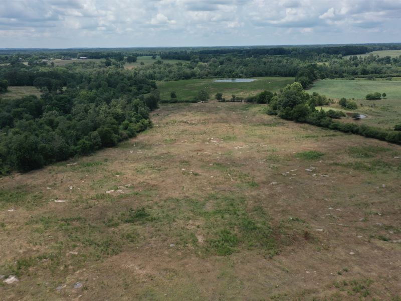 Brown Road Cattle Farm : Boaz : Marshall County : Alabama