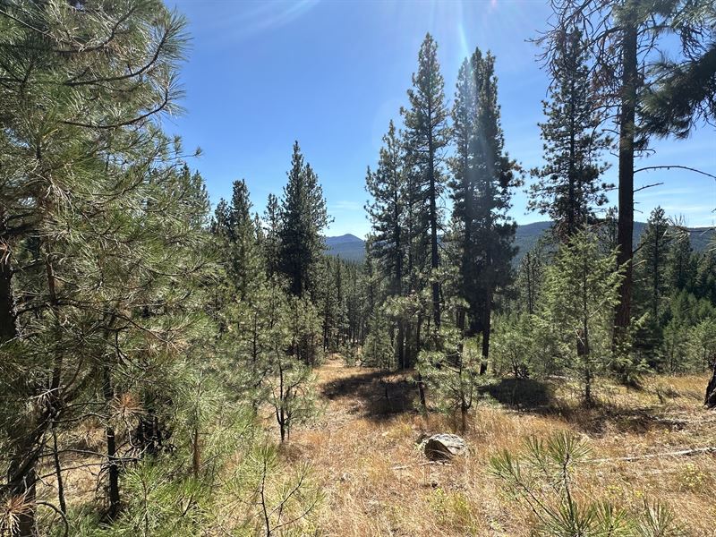 30 Acres in Sumpter, OR : Sumpter : Baker County : Oregon