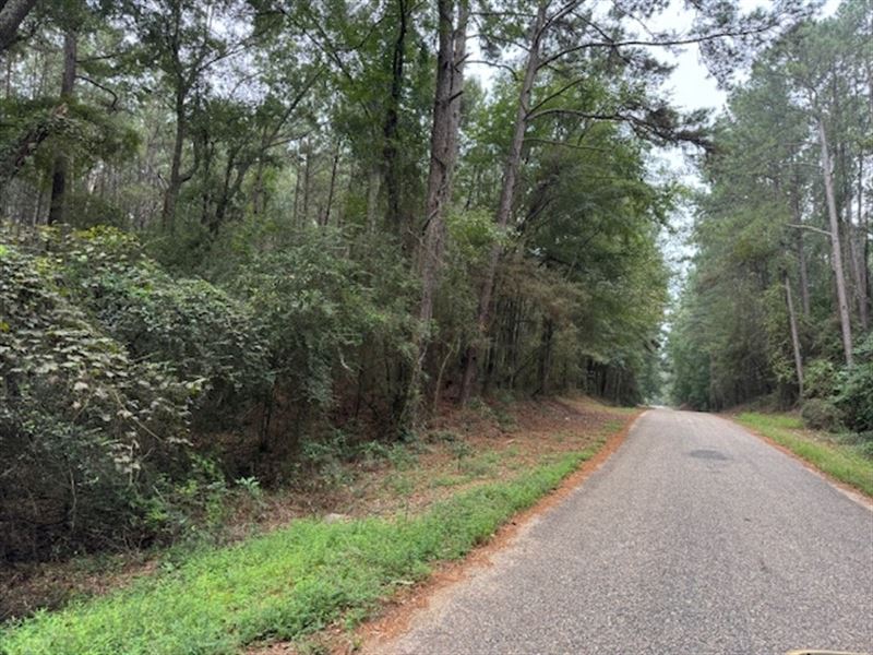 Cemetery Road : Tylertown : Walthall County : Mississippi