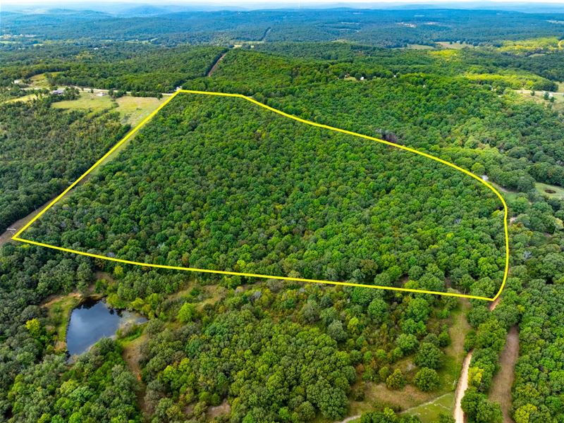 53 Wooded Acres, Hunting Land : Ravenden : Randolph County : Arkansas