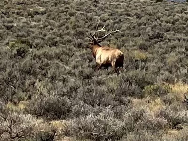 Eagles Nest : Maybell : Moffat County : Colorado