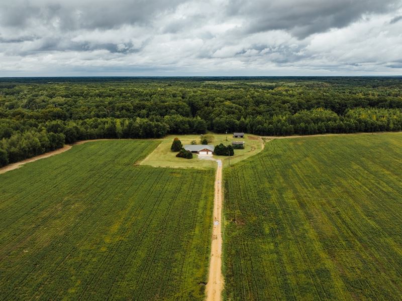 176.18 Acres with A Home in Leflore : Greenwood : Leflore County : Mississippi