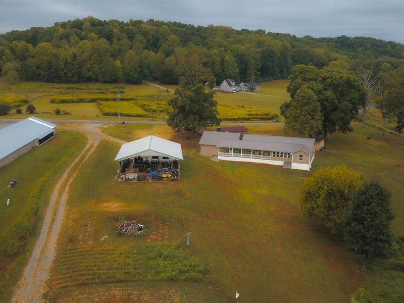 36 Acre Pullet Farm in Hamilton Cou : Soddy Daisy : Hamilton County : Tennessee