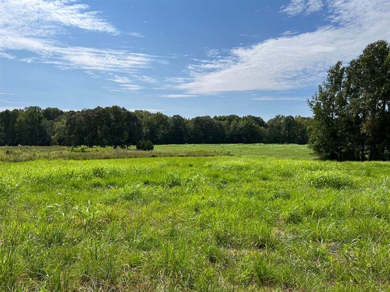 174.73 Acre Clear Creek Retreat Hen : Puryear : Henry County : Tennessee