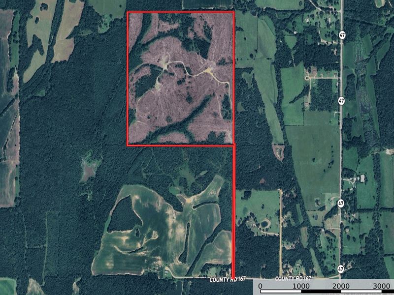 Buena Vista 165.8 Acres : Houston : Chickasaw County : Mississippi