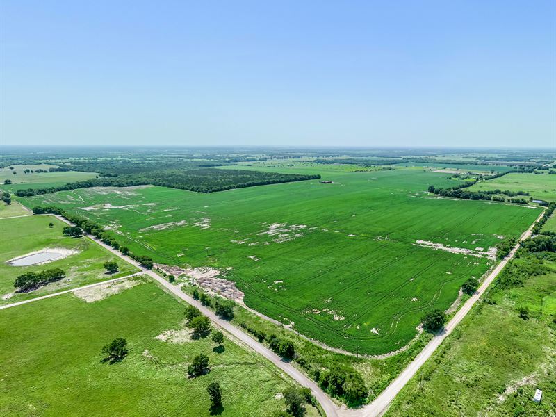 Row Crop Farm for Sale Deport, TX : Deport : Red River County : Texas