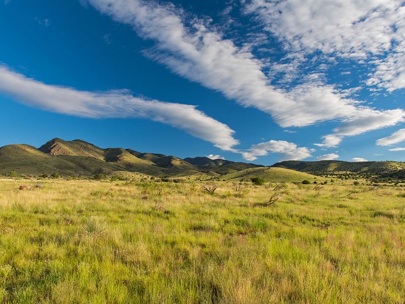 Beautiful Mountain Views : San Antonio : Socorro County : New Mexico