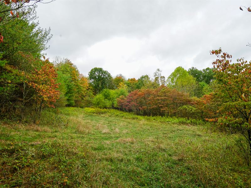 Boy Scout Camp Rd : Caldwell : Noble County : Ohio