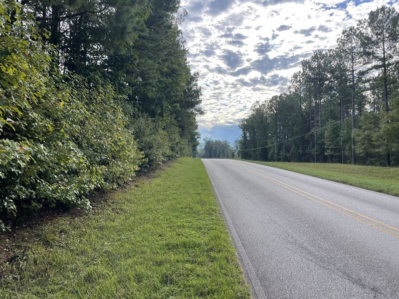 12.5 Ac Dudleyville Rd Tract : Dadeville : Tallapoosa County : Alabama