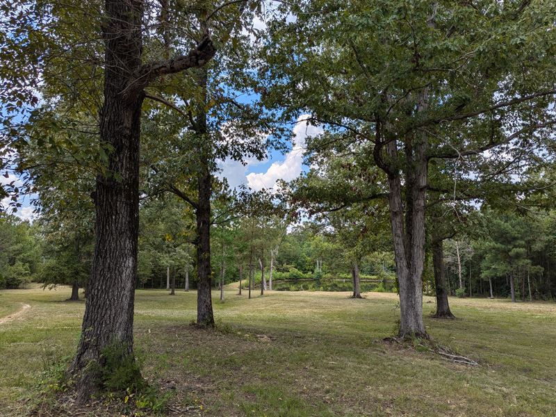 26 Acres with Pond : Matthews : Montgomery County : Alabama