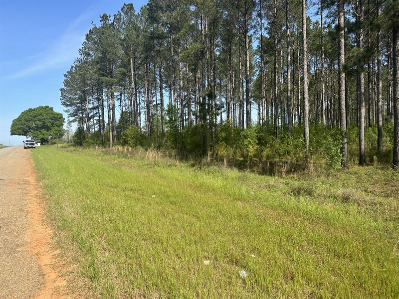 6 Acres Geneva Co AL : Hartford : Geneva County : Alabama