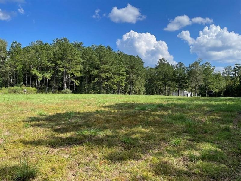 Turn Key 85 Acres in Sandy Hook, MS : Sandy Hook : Marion County : Mississippi