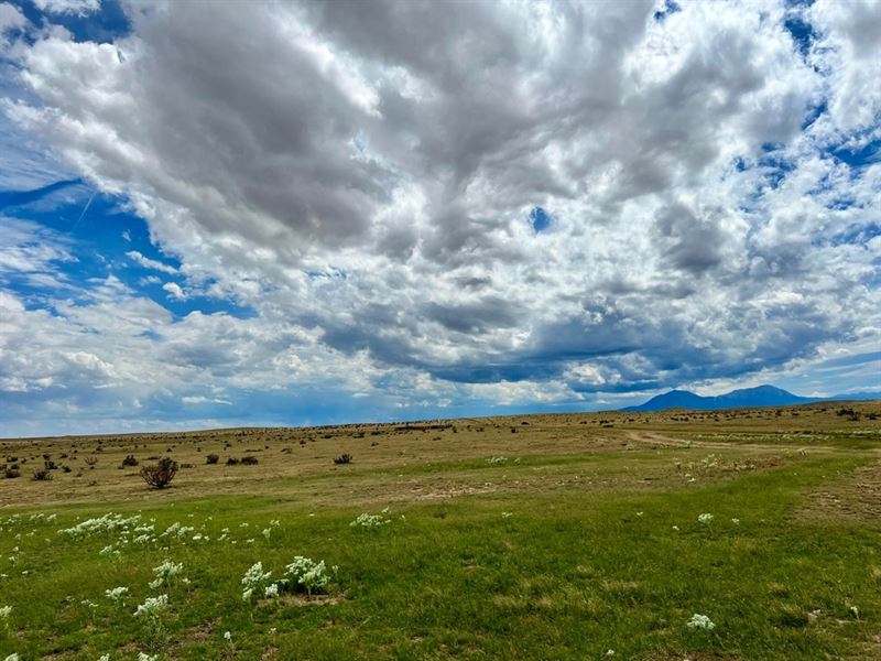 255 Colorado Land & Livestock : Walsenburg : Huerfano County : Colorado