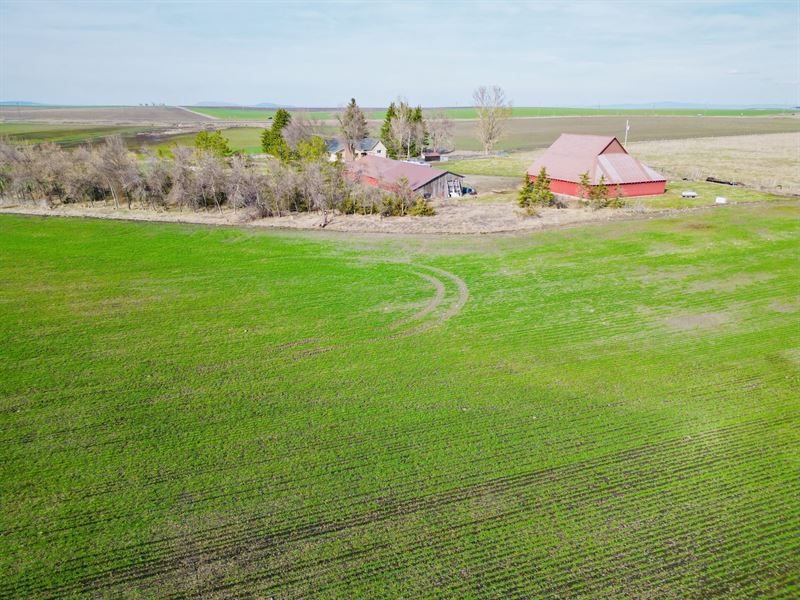 Grangeville Farm and Farmhouse : Grangeville : Idaho County : Idaho