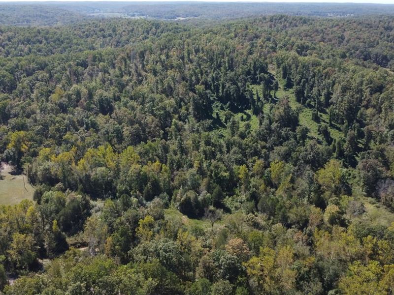 45 Acres for Sale in Wayne Co : Patterson : Wayne County : Missouri