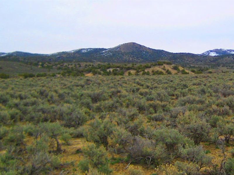 Mountain and Private Lot : Montello : Elko County : Nevada