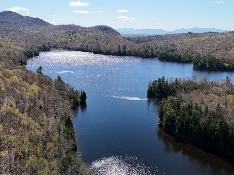 Iron Mountain Forest : Tupper Lake : Franklin County : New York