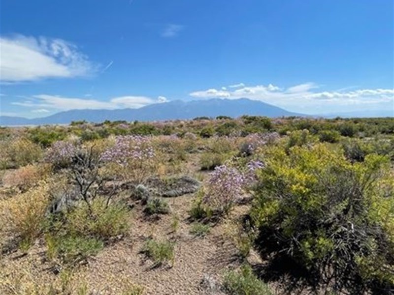 Beautiful Mountain Views : Mosca : Alamosa County : Colorado