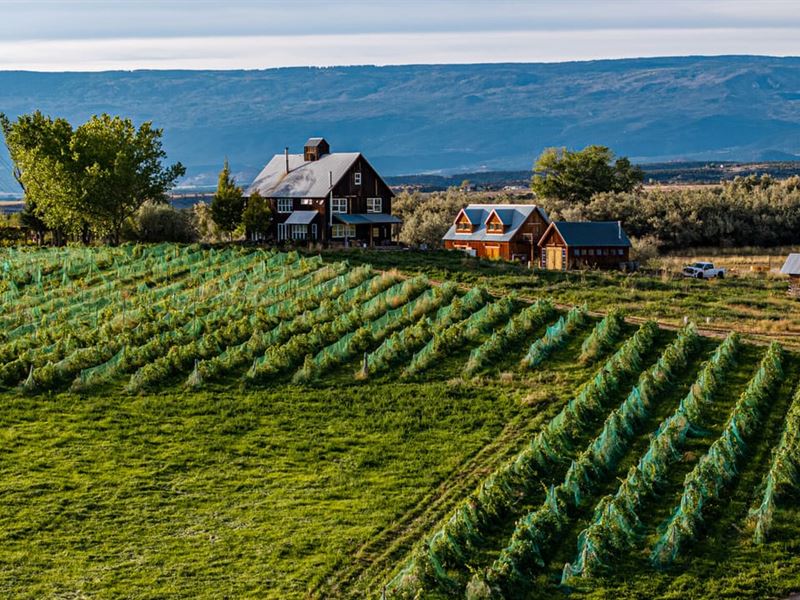 Jack Rabbit Hill Farm : Hotchkiss : Delta County : Colorado