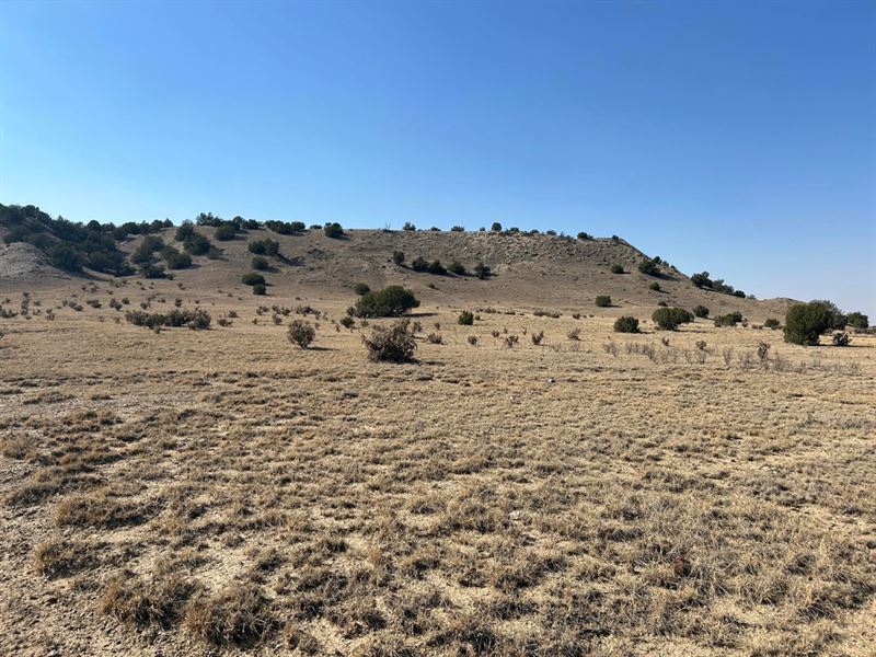 40Ac Las Animas Ranch, Delhi : Delhi : Las Animas County : Colorado