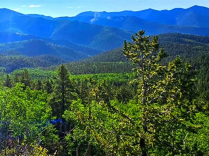 Lakeside Forest Sanctuary : Gunnison : Gunnison County : Colorado