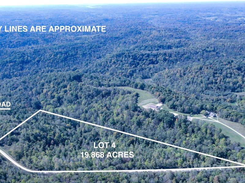 Moss Run Rd Lot 4, 19 Acres, Wash : Marietta : Washington County : Ohio