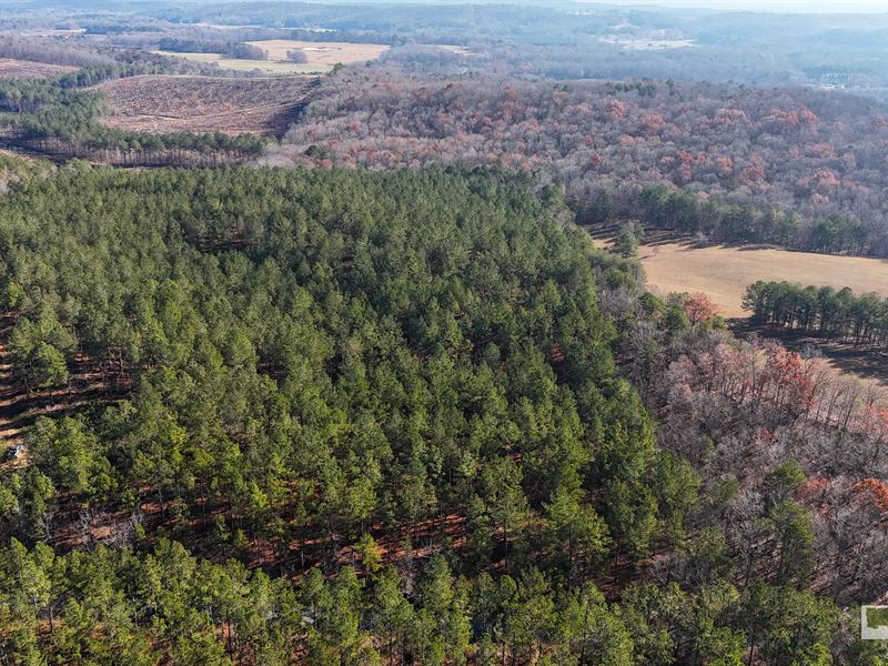 Back Valley Tract 11 : Lyerly : Chattooga County : Georgia