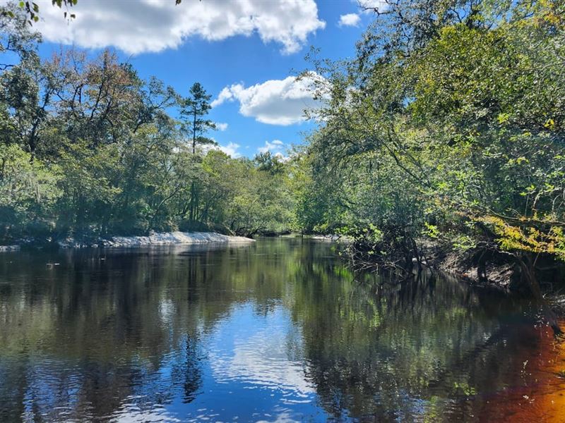 31+ Acres on St Marys River : Saint George : Charlton County : Georgia