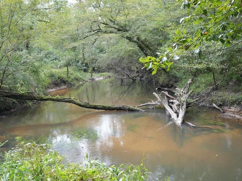 34 Acres Waterfront Property South : Tylertown : Walthall County : Mississippi